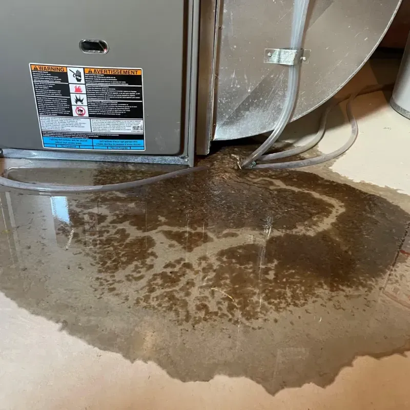 Appliance Leak Cleanup in Lindsay, TX